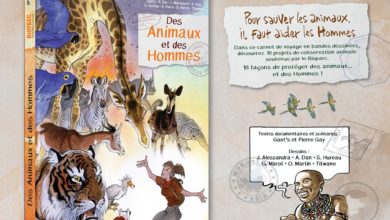 Le Club des DID-1, Jeu, Set et Match, Le Mystère du Stapula, Les Ilots de Langerhans, la BD